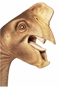 Oviraptor