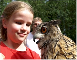 Roofvogelshow