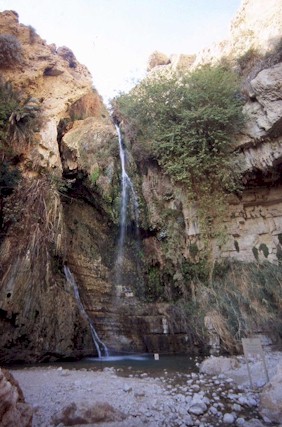 Waterval Ein Gedi